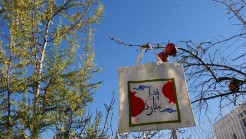 یاسمن احمدی مقدم و راحله طالب زاده  یاسمن احمدی مقدم و راحله طالب زاده