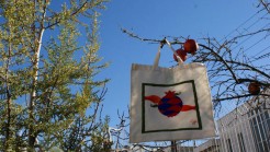 یاسمن احمدی مقدم و راحله طالب زاده  یاسمن احمدی مقدم و راحله طالب زاده