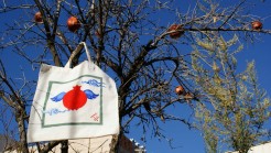 یاسمن احمدی مقدم و راحله طالب زاده  یاسمن احمدی مقدم و راحله طالب زاده